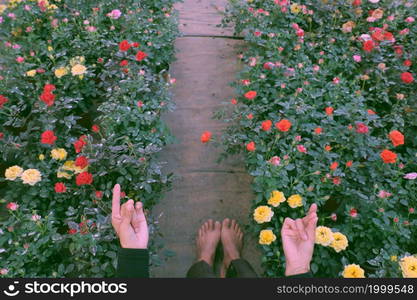 Top view farmer in field with bare foot on ground, Vietnamese woman stand in roses garden that bloom vibrant in colorful, nice scene at farm tour, Da Lat, Vietnam