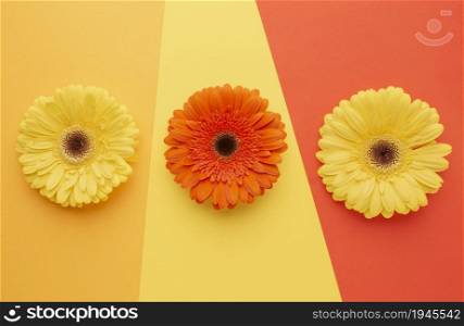 top view flowers desk. High resolution photo. top view flowers desk. High quality photo