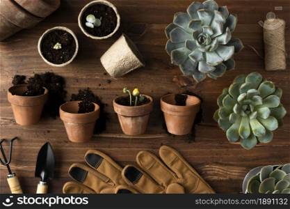 top view flowers pots. Resolution and high quality beautiful photo. top view flowers pots. High quality and resolution beautiful photo concept