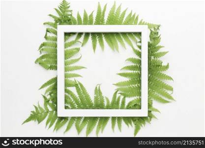 top view frame with leaves concept