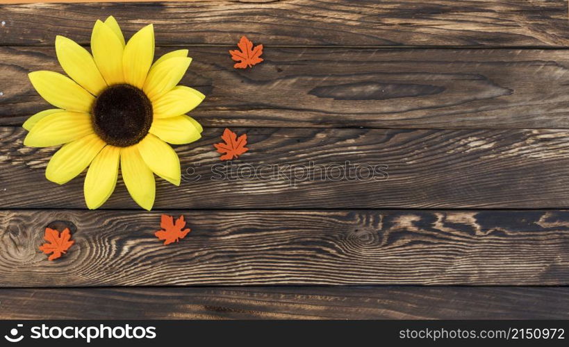 top view frame with sunflower wooden background