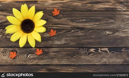top view frame with sunflower wooden background