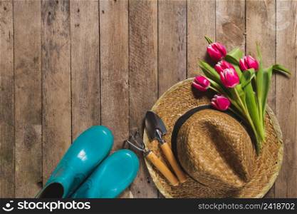top view gardening items tulips