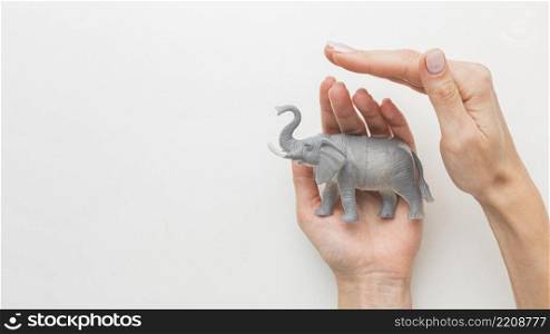 top view hands protecting elephant figurine animal day