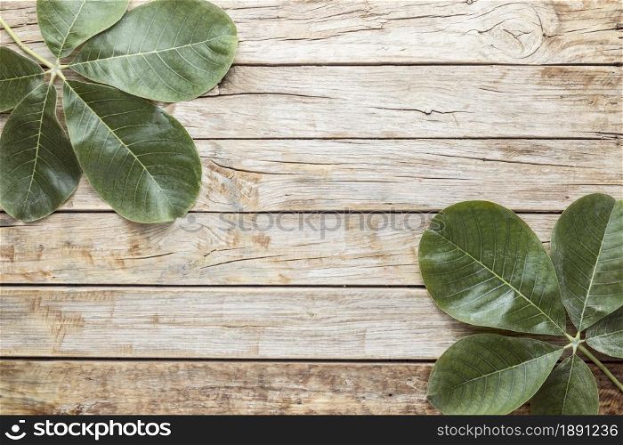 top view leaves with copy space. Resolution and high quality beautiful photo. top view leaves with copy space. High quality and resolution beautiful photo concept