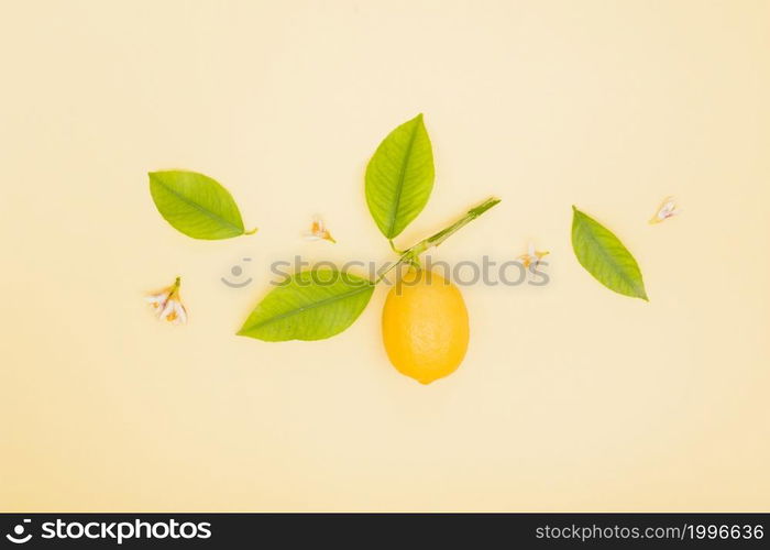 top view lemon with leaves