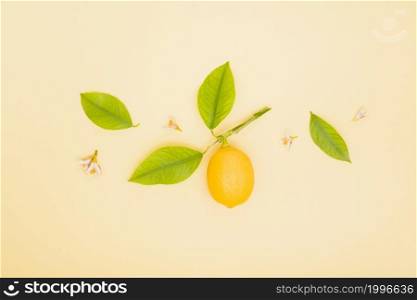 top view lemon with leaves