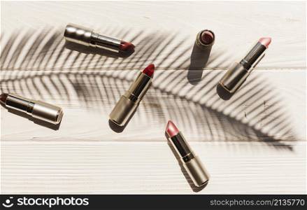 top view lipsticks with palm branch shadow