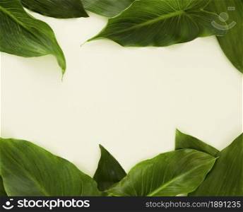 top view lots leaves with copy space. Resolution and high quality beautiful photo. top view lots leaves with copy space. High quality and resolution beautiful photo concept