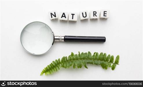 top view magnifying glass plant. High resolution photo. top view magnifying glass plant. High quality photo