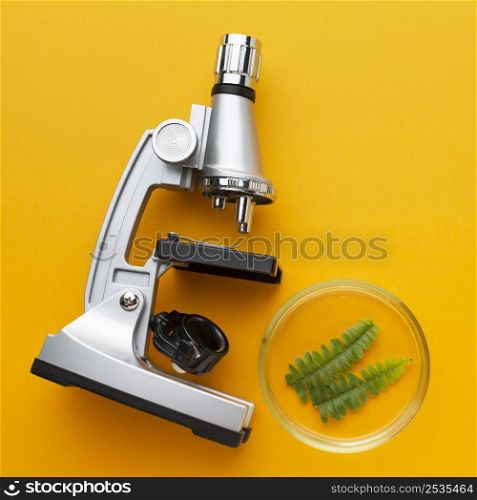 top view microscope plant