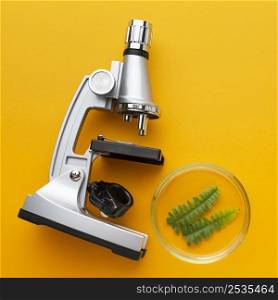 top view microscope plant