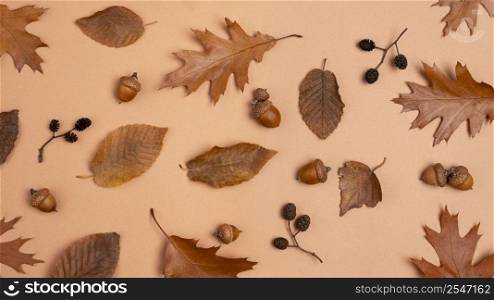 top view monochromatic assortment leaves