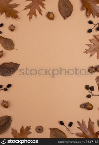 top view monochromatic assortment leaves with copy space
