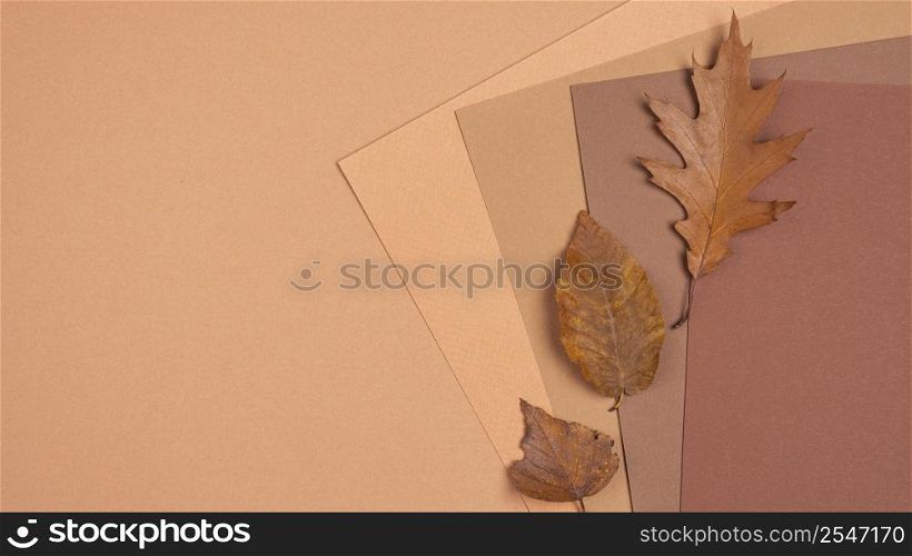 top view monochromatic colors leaves