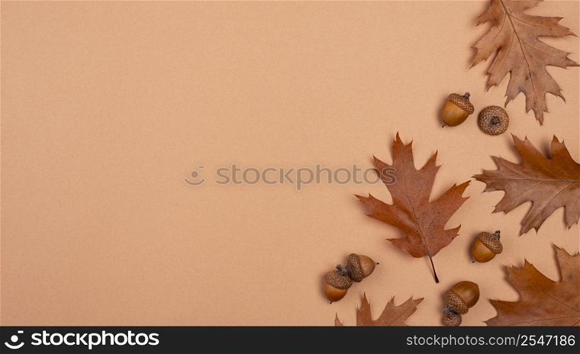 top view monochromatic leaves with copy space 2