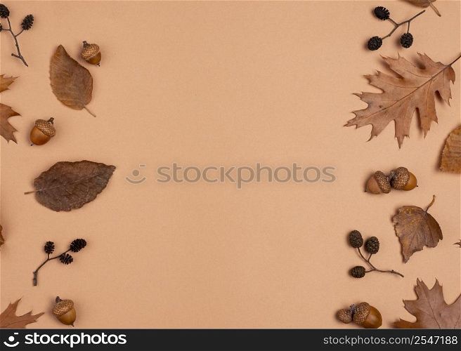 top view monochromatic leaves with copy space 4