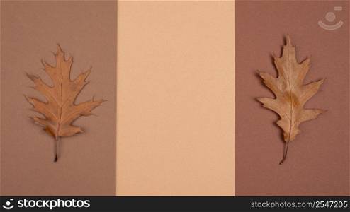 top view monochromatic selection leaves with copy space