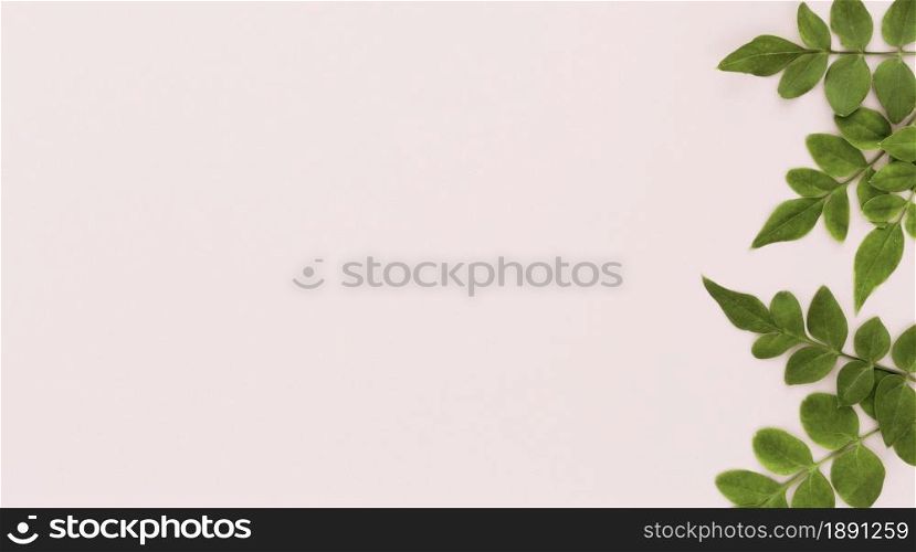 top view multiple leaves with copy space. Resolution and high quality beautiful photo. top view multiple leaves with copy space. High quality and resolution beautiful photo concept