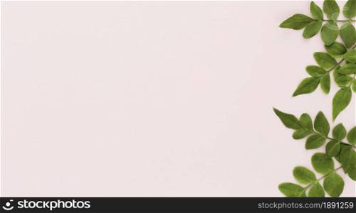 top view multiple leaves with copy space. Resolution and high quality beautiful photo. top view multiple leaves with copy space. High quality and resolution beautiful photo concept