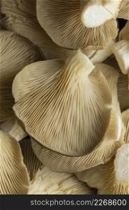 top view mushrooms close up