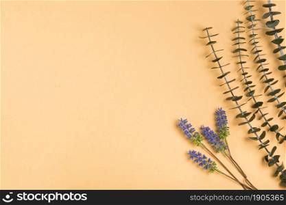 top view natural lavender paper. Beautiful photo. top view natural lavender paper