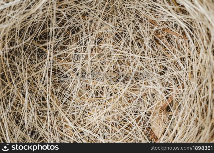 top view nest background. Resolution and high quality beautiful photo. top view nest background. High quality beautiful photo concept