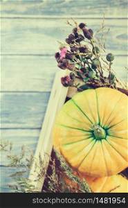Top view of autumn orange pumpkins and dry flowers and grass in box thanksgiving background over blue toned wooden table with copy space. Template for fall harvest mood text