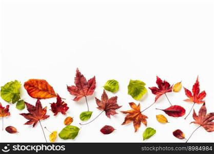 Top view of bright autumn leaves on the bottom of shot. White background. Top view of bright autumn leaves on white