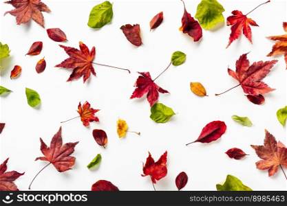 Top view of bright autumn leaves on white background. Holidays, greeting card design. Nature background. Top view of bright autumn leaves on white