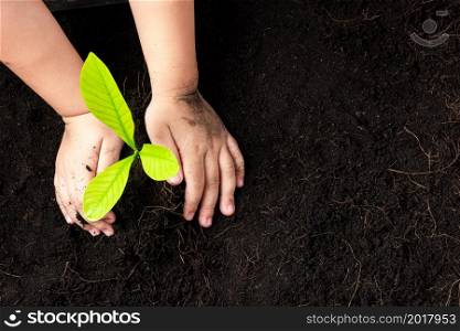 Top view of child hand planting young tree seedling on black soil at the garden, Concept of global pollution, Save Earth day and Hand Environment conservation