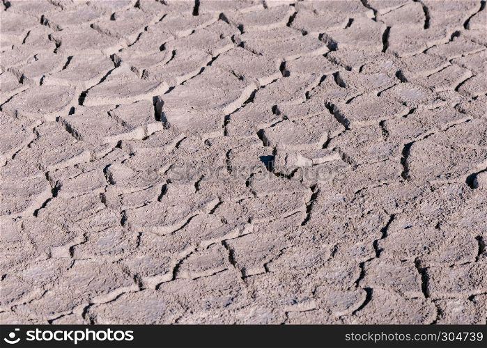 Top view of Cracked earth soil texture background. Salt desert cracks on ground with light color. Cracked earth soil texture background with light color