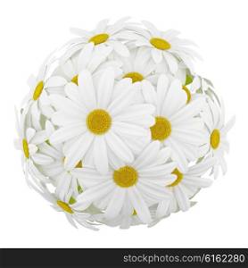 top view of daisies in glass vases isolated on white background