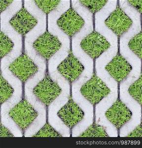 Top view of eco-friendly parking of concrete cells and turf grass as a seamless pattern. Geometric background of a green urban environment
