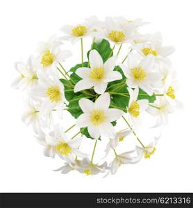 top view of flowers in vase isolated on white background. 3d illustration