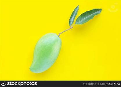 Top view of fresh green mango, Tropical fruit on yellow background. Copy space