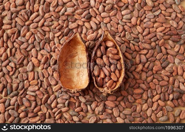 Top view of halves cocoa pod filled with unpeeled raw beans composed on bunch of aromatic seeds. Pods of cocoa tree on aromatic beans