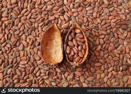 Top view of halves cocoa pod filled with unpeeled raw beans composed on bunch of aromatic seeds. Pods of cocoa tree on aromatic beans