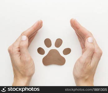 top view of hands protecting paw print for animal day. Resolution and high quality beautiful photo. top view of hands protecting paw print for animal day. High quality and resolution beautiful photo concept