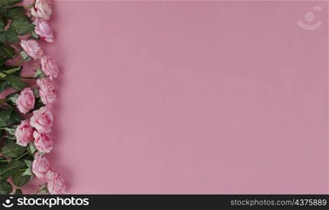 Top view of light pink rose flowers forming left border on a soft pink background for a happy mothers or Valentines day holiday concept