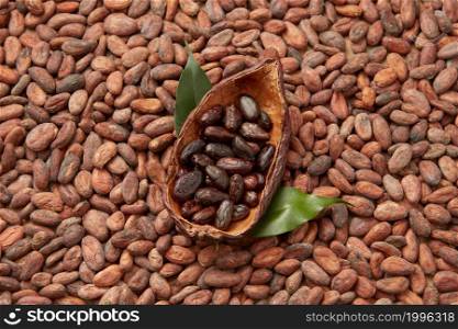 Top view of peeled fresh cocoa beans placed in half of Theobroma cacao tree pod placed on unpeeled raw beans. Aromatic organic beans of cocoa in pod