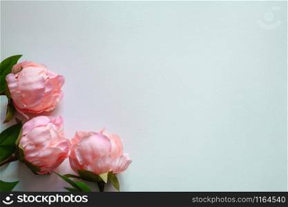 Top view of pink Peonies artificial flowers on blank blue background