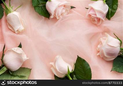 Top view of pink roses  on pink tulle background. Valentine’s Day concept, space for text