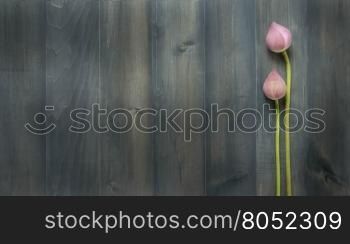 top view of pink water lily over wooden background, Free space for text