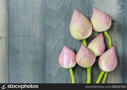 top view of pink water lily. top view of pink water lily over wooden background