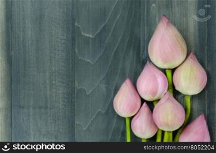 top view of pink water lily. top view of pink water lily over wooden background