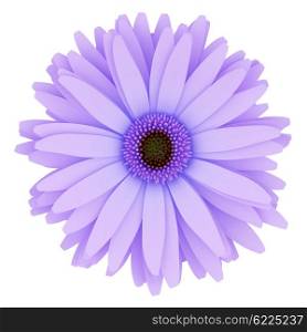top view of purple flower isolated on white background. 3d illustration