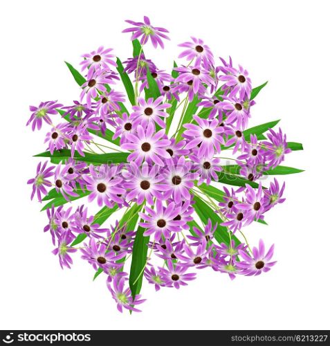 top view of purple flowers in vase isolated on white background. 3d illustration