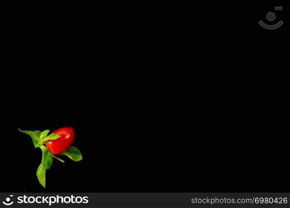 Top view of single cherry tomato and mint leaves isolated on a black background. Minimalist picture style with copy space for text