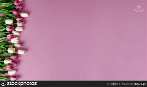 Top view of springtime tulip flowers with colorful forming left border on a soft pink background for a happy Easter or Mothers Day holiday concept